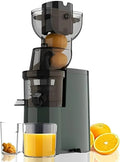Extracteur de jus, 250 W, professionnel, 3,5 pouces
