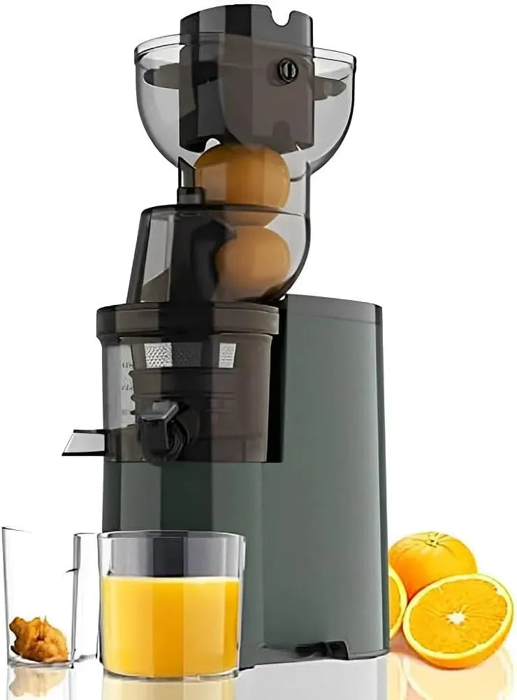 Extracteur de jus, 250 W, professionnel, 3,5 pouces