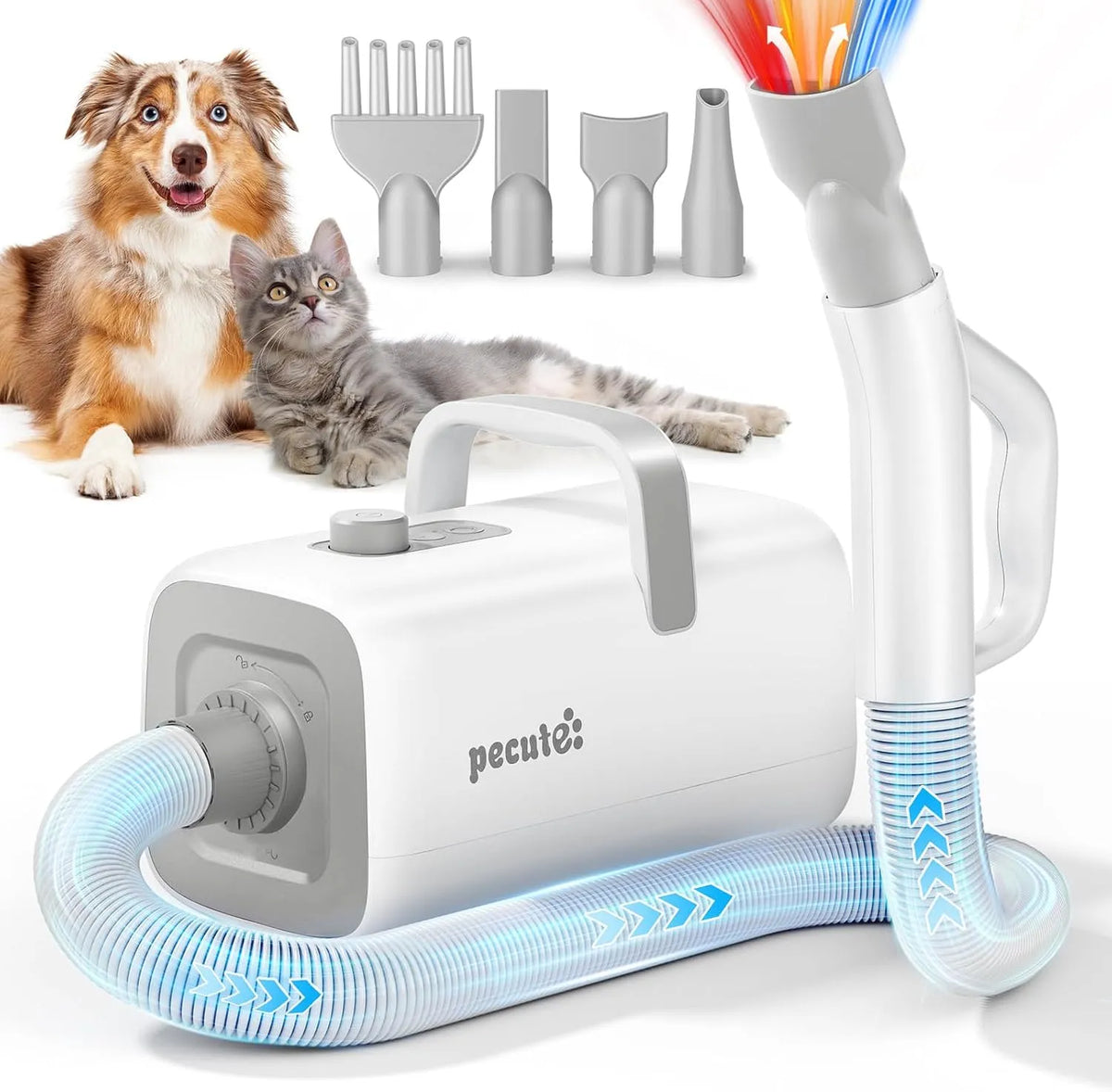 Pecute Pulseur pour Chien Caniche, pour Professionnelle Souffleur pour Chiens