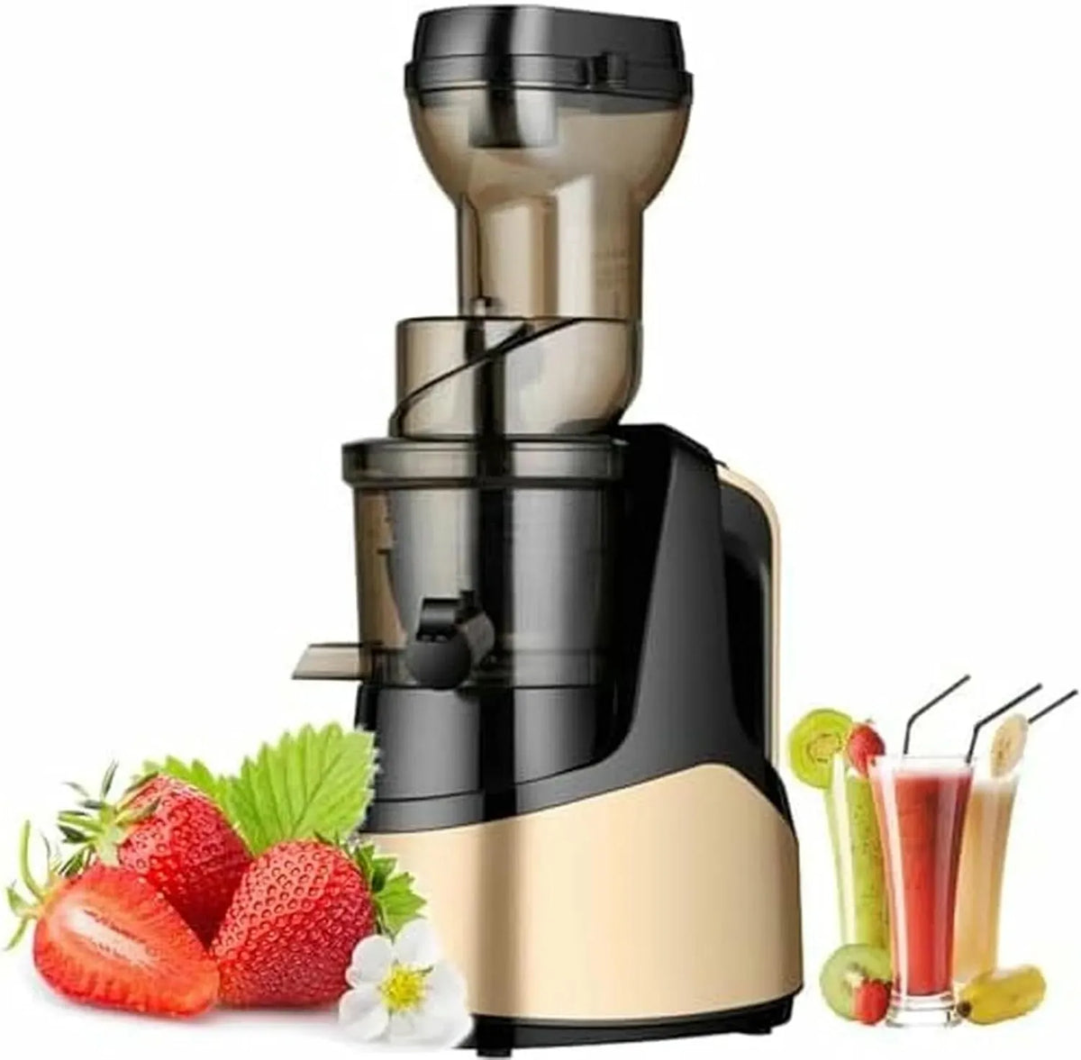 Extracteur de jus, 150 W, presse-agrumes et extracteur, Extracteur de jus à Mastication Lente 1000 ML